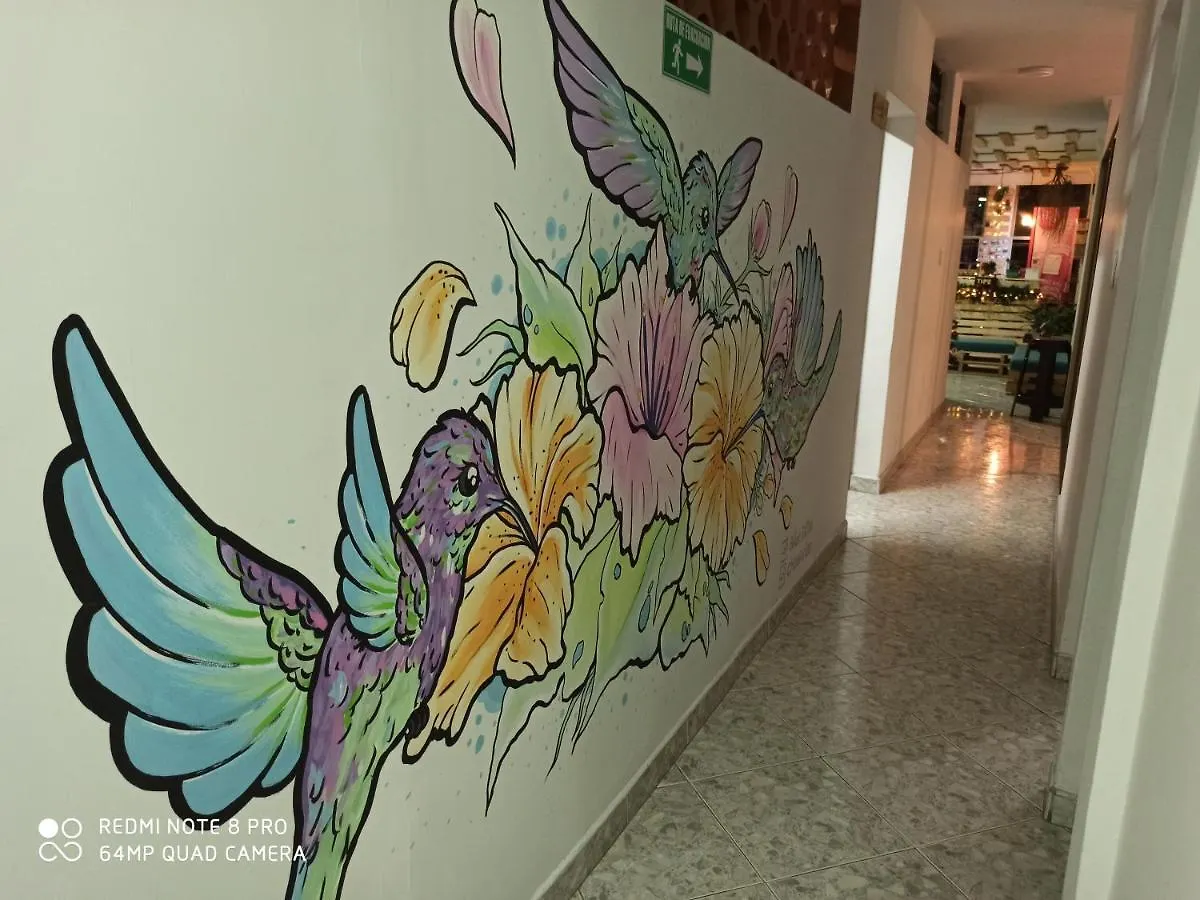 ميديلين Coco Hostal 2*,  كولومبيا